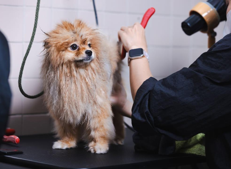 WhatsApp Image 2026-03-15 at 1.05.29 AM