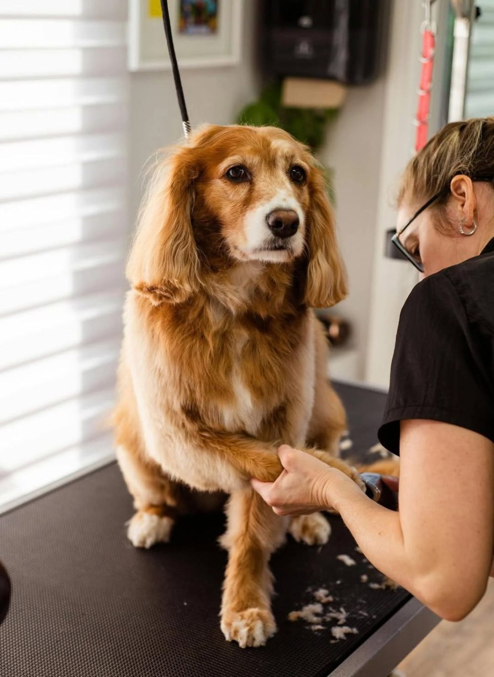 WhatsApp Image 2026-03-15 at 1.05.26 AM